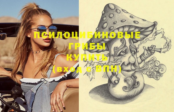 гашик Абинск