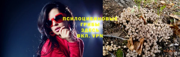 ПСИЛОЦИБИНОВЫЕ ГРИБЫ Алексин